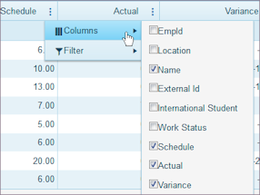 Variance Columns